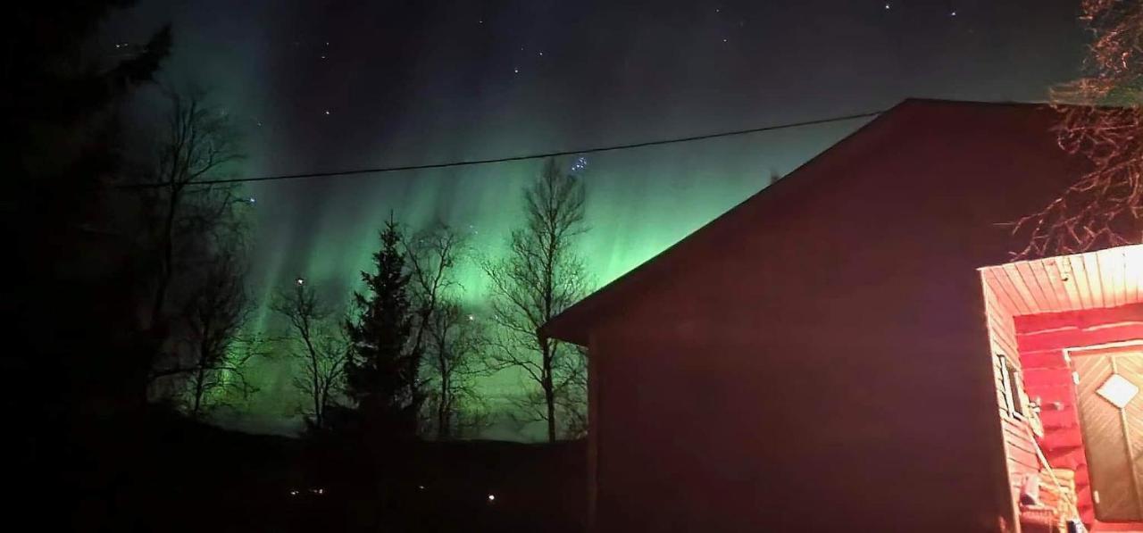 Cosy Cabin In North-Norway, Nearby Senja. Sorreisa Zewnętrze zdjęcie